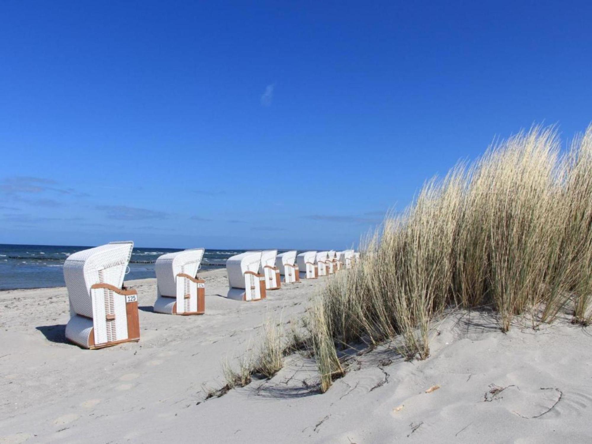 Ferienhaus Gutshof Detershagen L